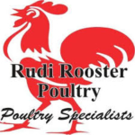 Rudi Rooster Poultry North